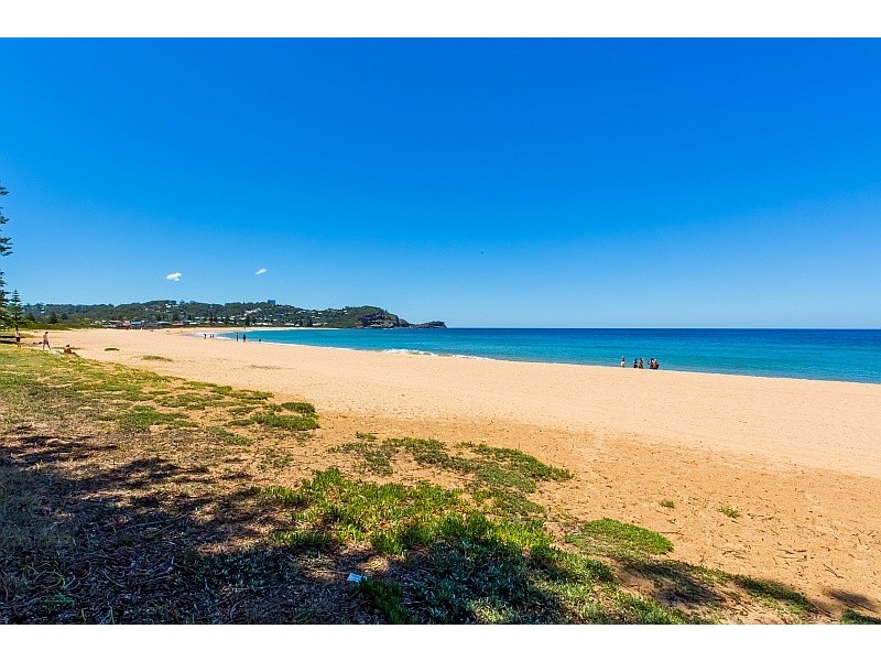 117 Avoca Drive, Avoca Beach NSW 2251