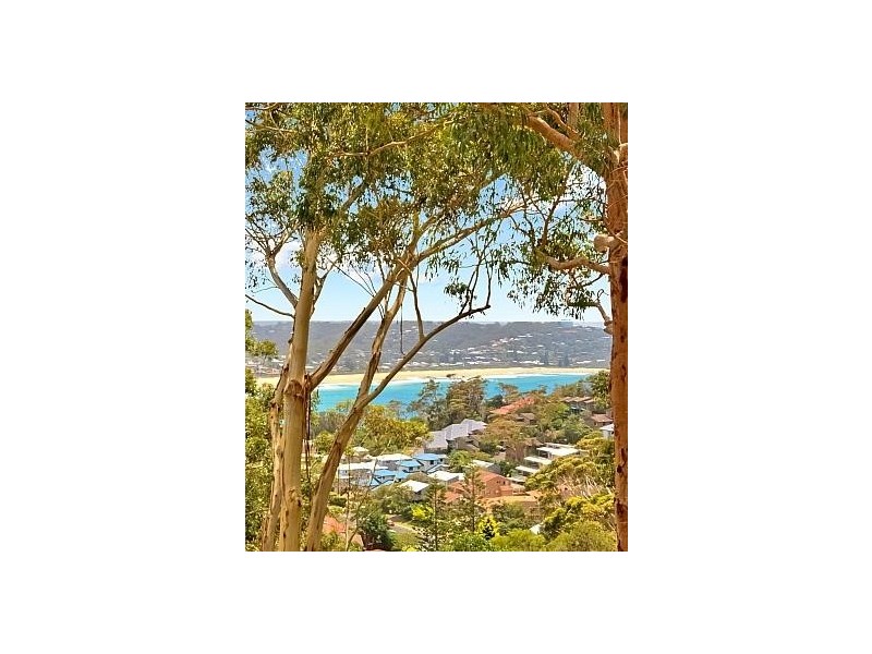 51 Arden Avenue, Avoca Beach NSW 2251