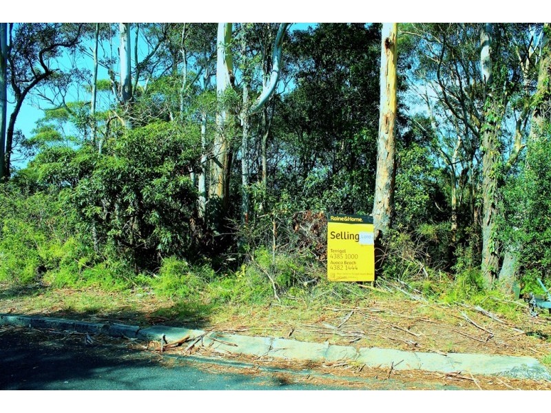 25 Surf Rider Avenue, North Avoca NSW 2260