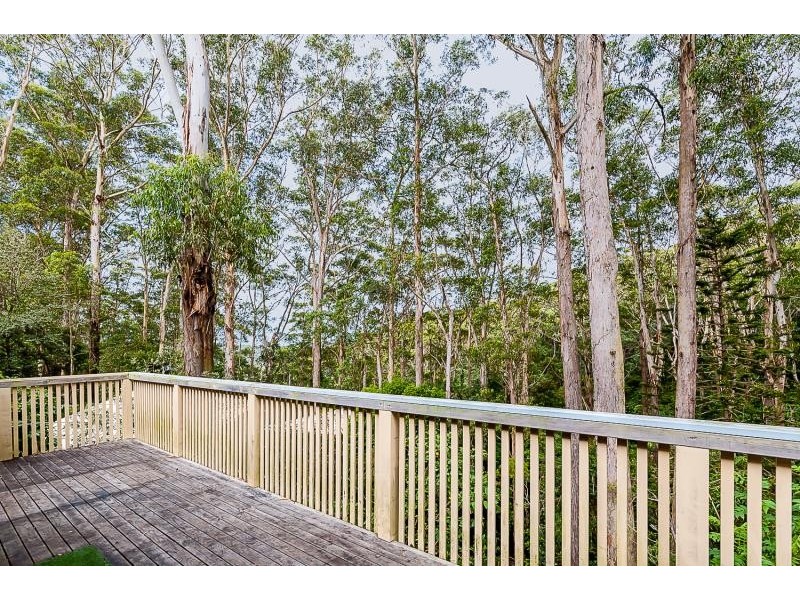 12 Bellevue Crescent, North Avoca NSW 2260