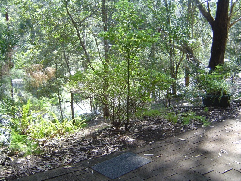 58 CAROLINA PARK RD, Avoca Beach NSW 2251