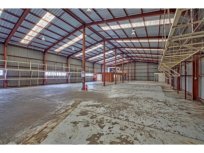 14 Pavitt Cres, Wyong NSW 2259