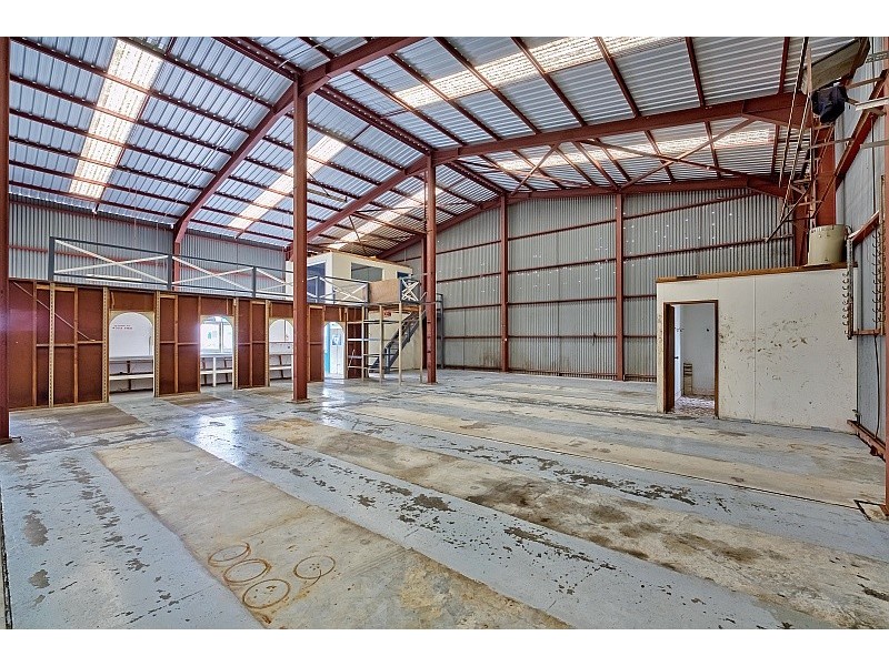 14 Pavitt Cres, Wyong NSW 2259