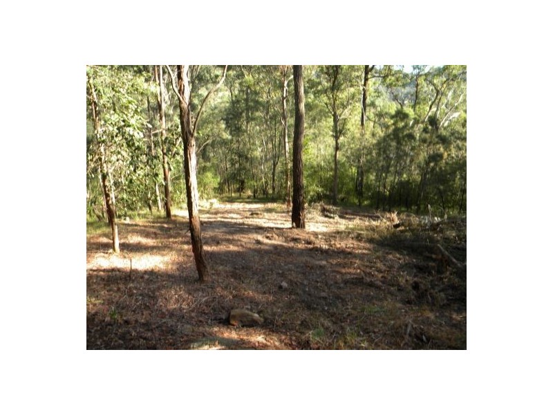 Lower Mangrove NSW 2250