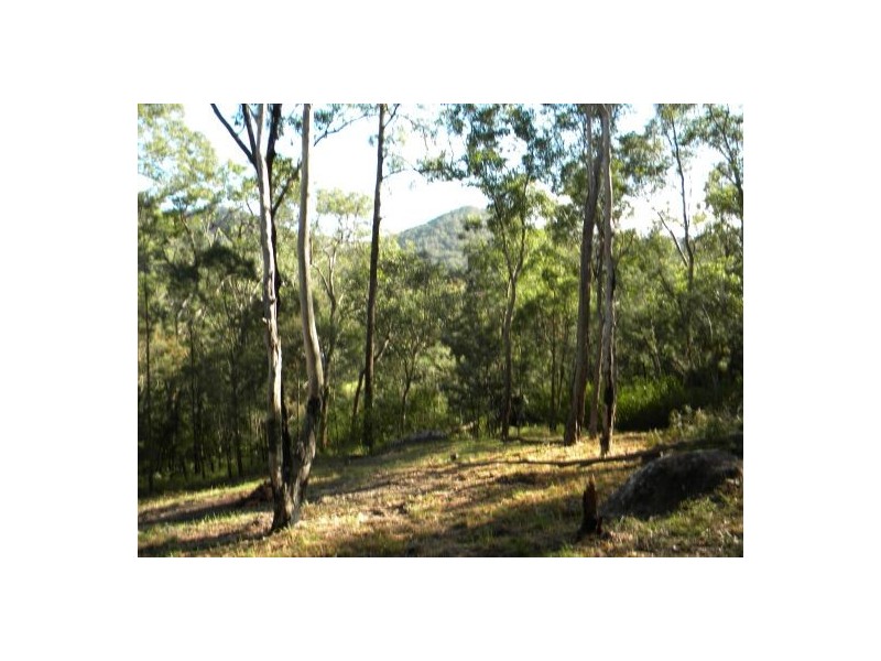 Lower Mangrove NSW 2250