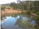 Lower Mangrove NSW 2250