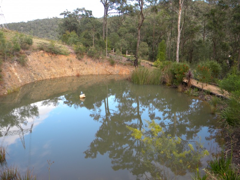 Lower Mangrove NSW 2250