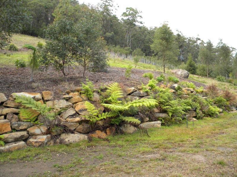 Lower Mangrove NSW 2250