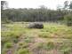 Lower Mangrove NSW 2250