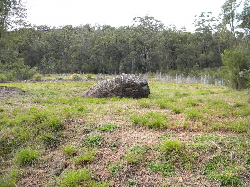 Lower Mangrove NSW 2250