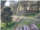 Lower Mangrove NSW 2250