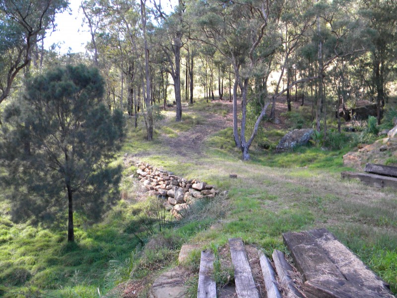 Lower Mangrove NSW 2250