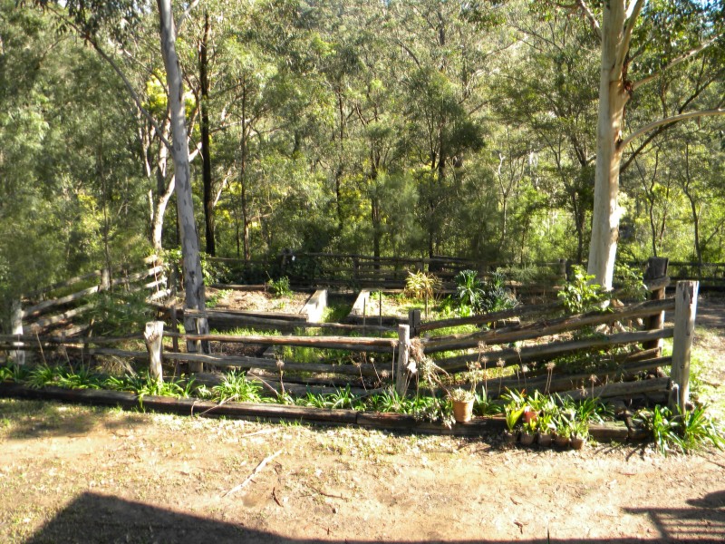 Lower Mangrove NSW 2250