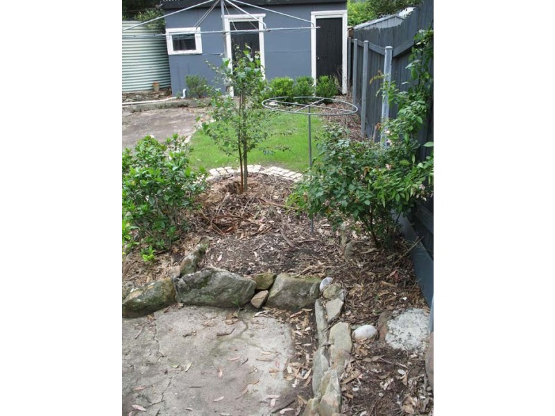Gunderman NSW 2775