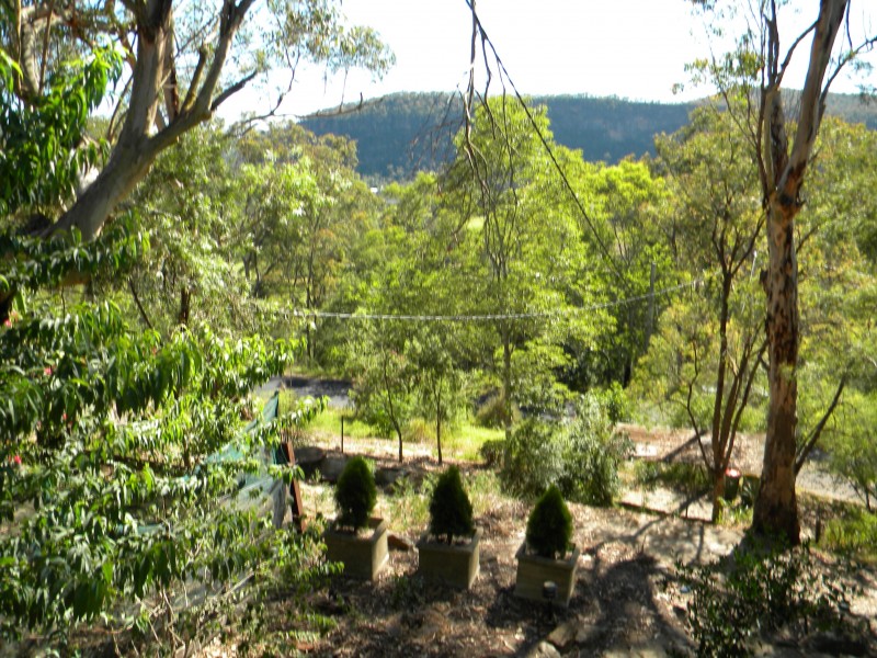 Gunderman NSW 2775