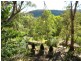 Gunderman NSW 2775