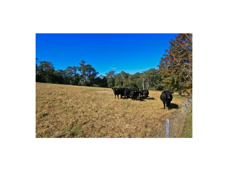 Mangrove Mountain NSW 2250