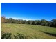 Mangrove Mountain NSW 2250