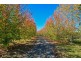 Mangrove Mountain NSW 2250