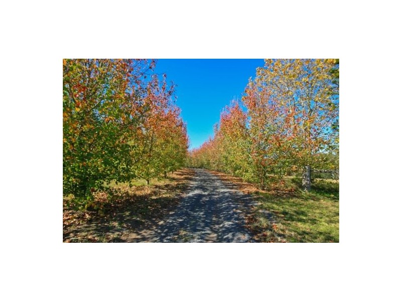 Mangrove Mountain NSW 2250