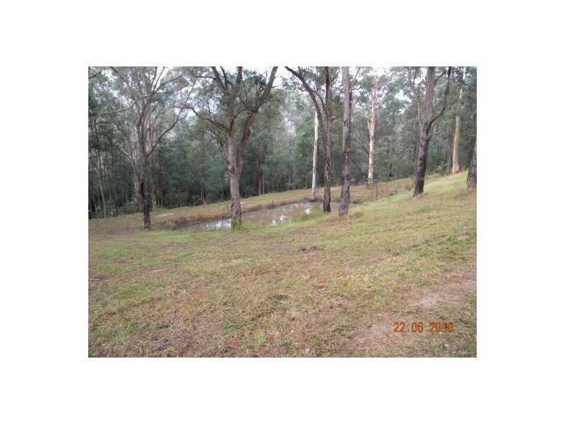 Lower Mangrove NSW 2250