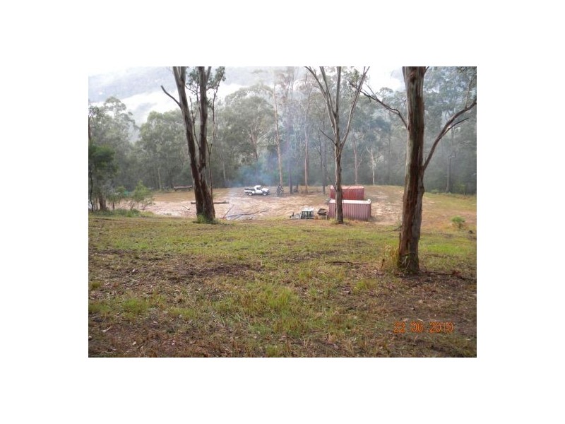 Lower Mangrove NSW 2250