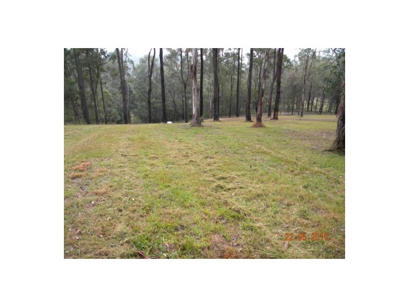 Lower Mangrove NSW 2250