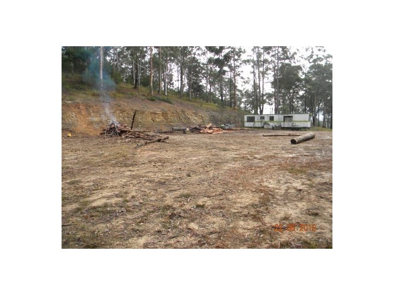 Lower Mangrove NSW 2250