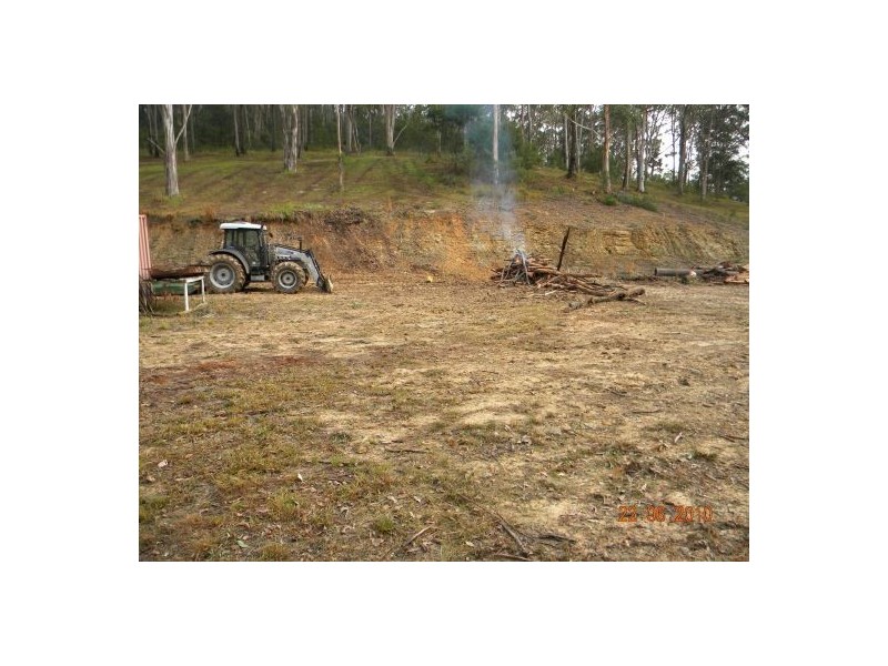 Lower Mangrove NSW 2250