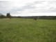 Mangrove Mountain NSW 2250
