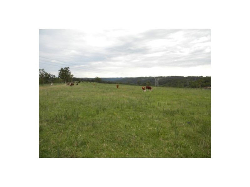 Mangrove Mountain NSW 2250