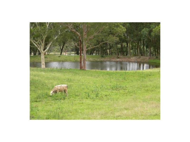 Mangrove Mountain NSW 2250
