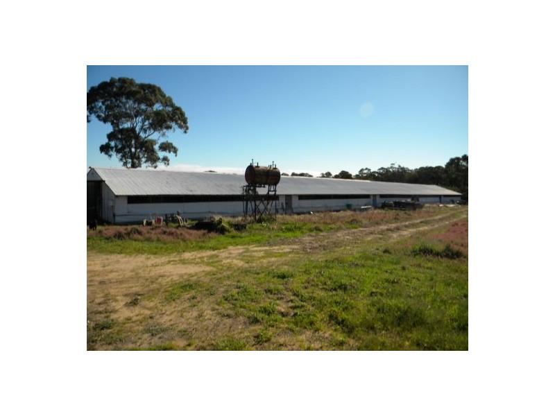 Calga NSW 2250