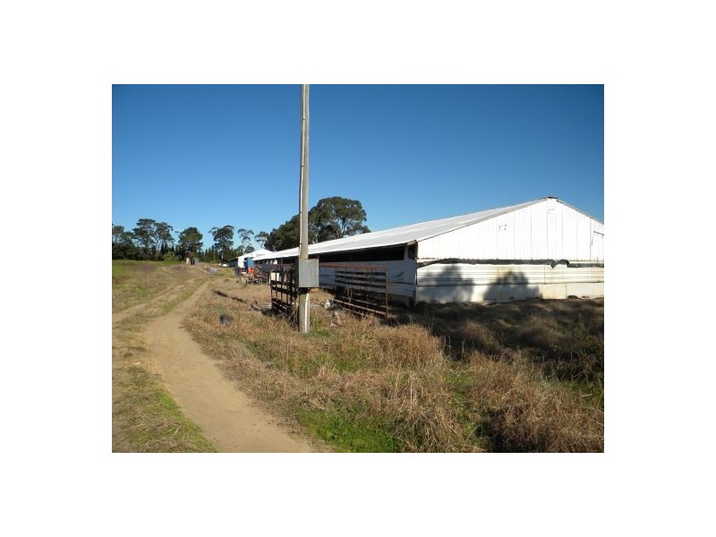 Calga NSW 2250
