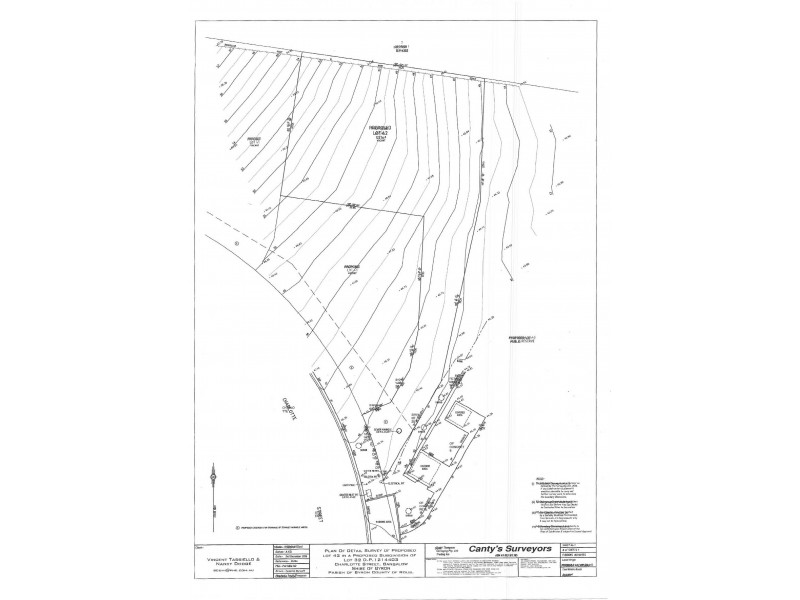 31 Charlotte Street, Bangalow NSW 2479 Floorplan