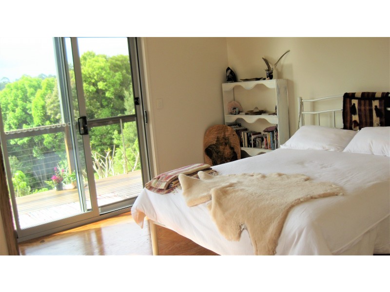 136A Newes Road, Coorabell NSW 2479