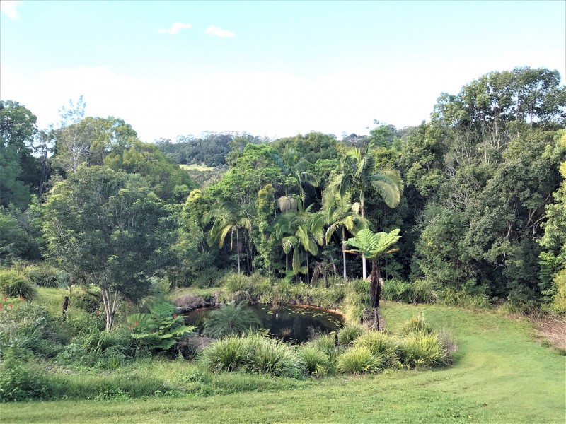 200 Fowlers Lane, Bangalow NSW 2479