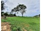 1696 Hinterland Way, Mcleods Shoot NSW 2479