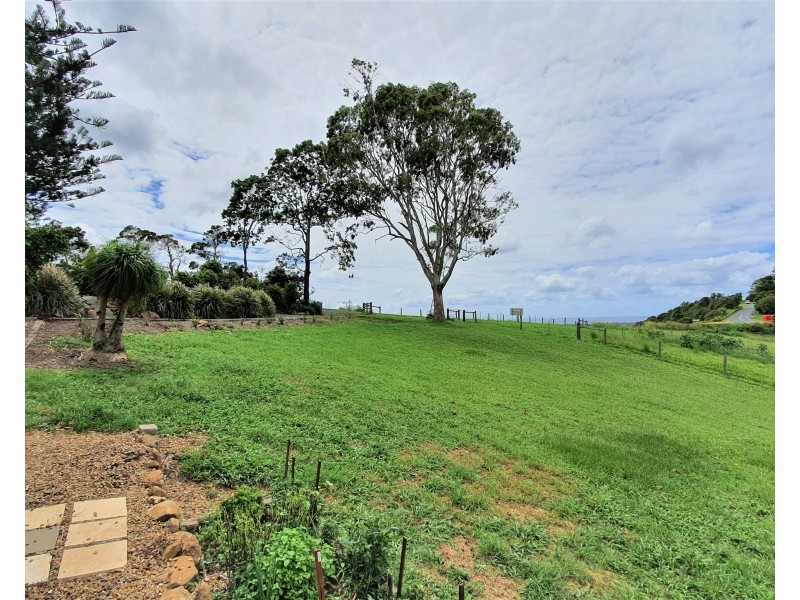 1696 Hinterland Way, Mcleods Shoot NSW 2479