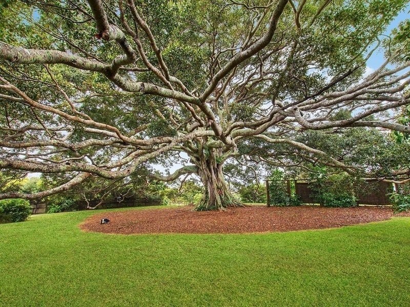 18 Citriadora Drive, Ewingsdale NSW 2481