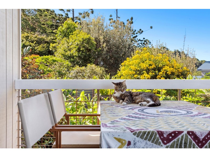 11 Hakea Crescent, Suffolk Park NSW 2481