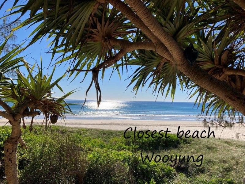 106 CRABBES CREEK ROAD, Crabbes Creek NSW 2483