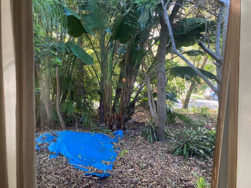 11 KALEMAJERE DRIVE, Suffolk Park NSW 2481