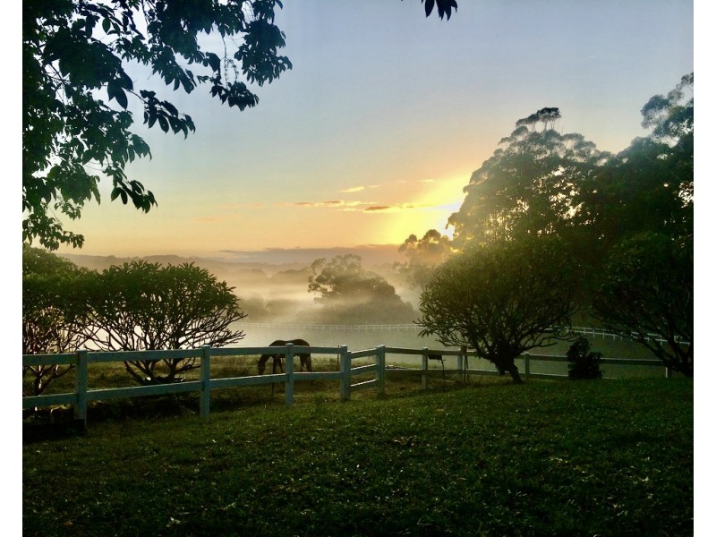 191 Repentance Creek Road, Rosebank NSW 2480