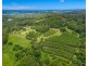 191 Repentance Creek Road, Rosebank NSW 2480