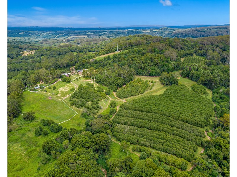 191 Repentance Creek Road, Rosebank NSW 2480