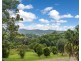 191 Repentance Creek Road, Rosebank NSW 2480