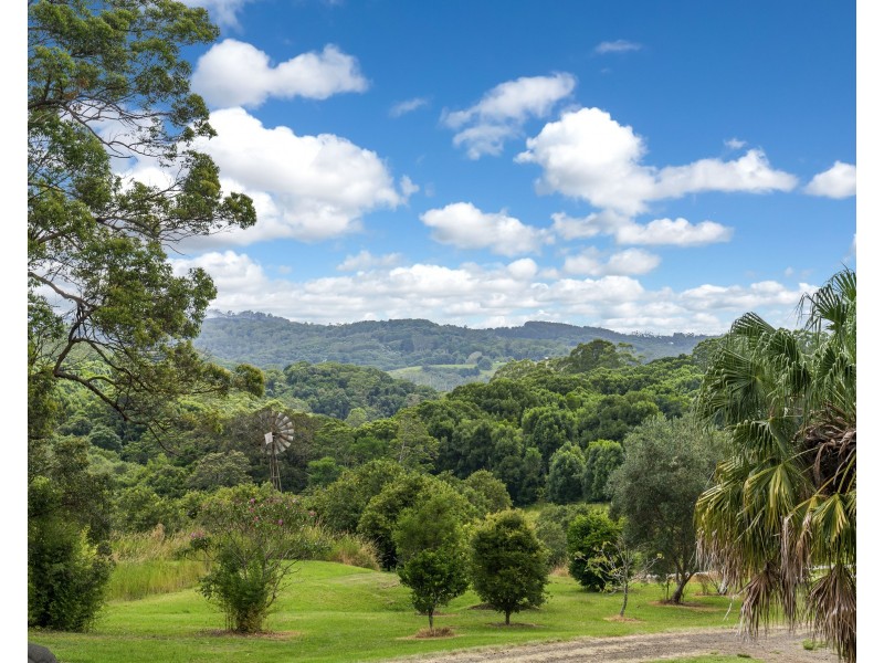 191 Repentance Creek Road, Rosebank NSW 2480