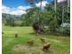 191 Repentance Creek Road, Rosebank NSW 2480