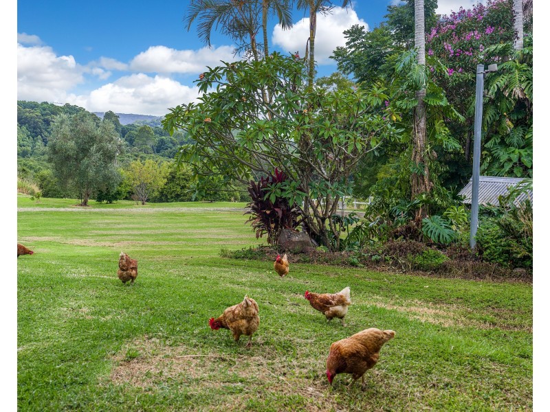 191 Repentance Creek Road, Rosebank NSW 2480